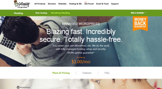 Go Daddy Managed WordPress Hosting screenshot