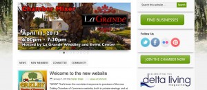 March 2013 Handout : Oakley Chamber WP Dev Details